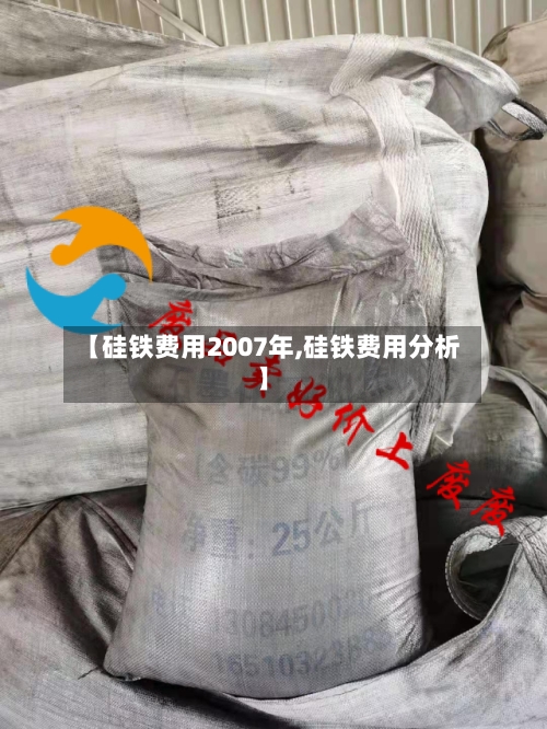 【硅铁费用2007年,硅铁费用分析】