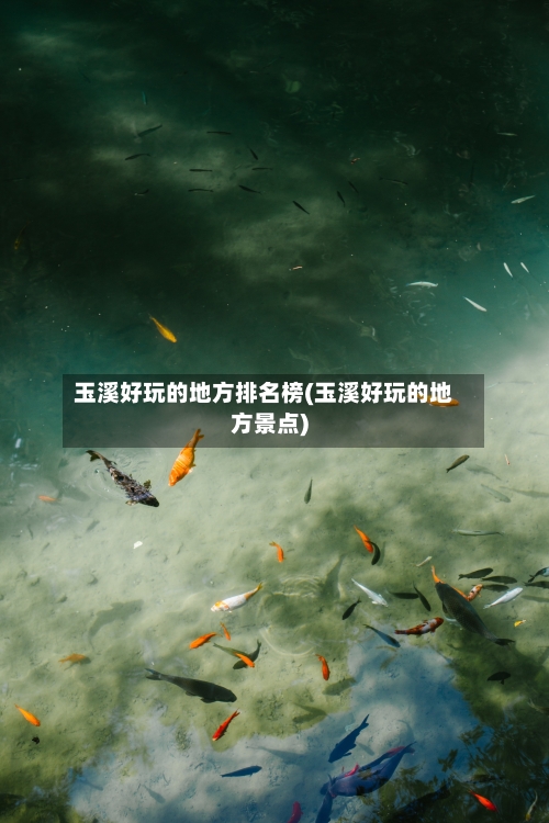 玉溪好玩的地方排名榜(玉溪好玩的地方景点)-第3张图片
