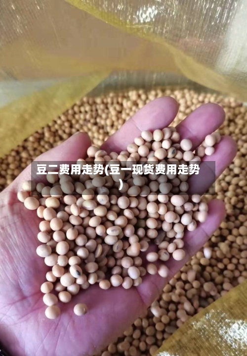 豆二费用走势(豆一现货费用走势)-第2张图片