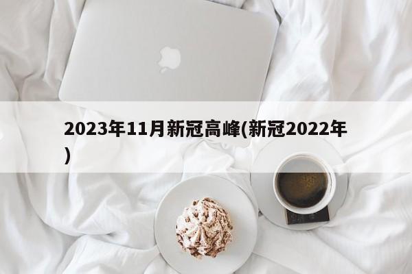 2023年11月新冠高峰(新冠2022年)