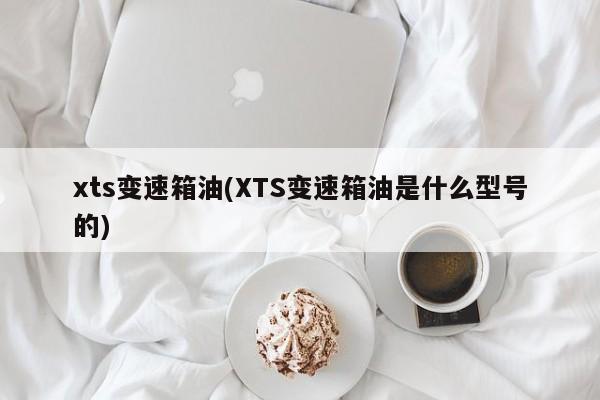 xts变速箱油(XTS变速箱油是什么型号的)