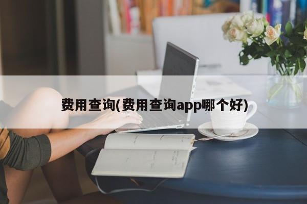 费用查询(费用查询app哪个好)