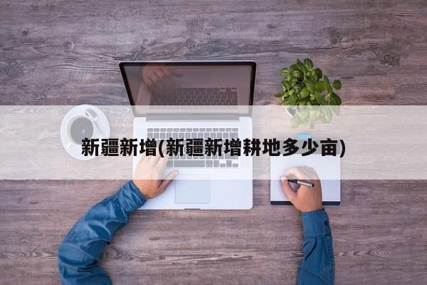 新疆新增(新疆新增耕地多少亩)
