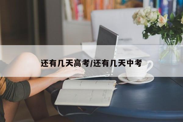 还有几天高考/还有几天中考