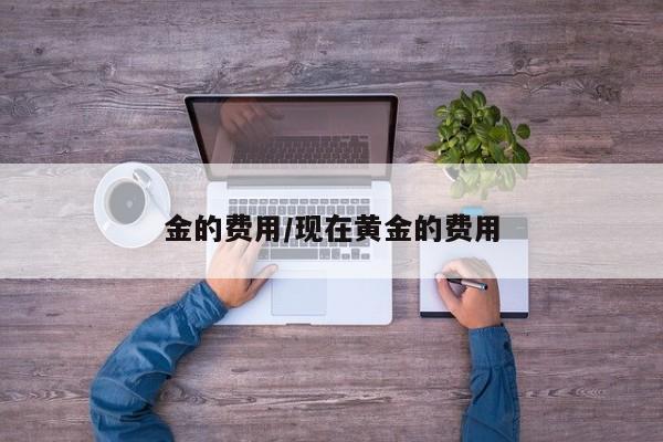 金的费用/现在黄金的费用
