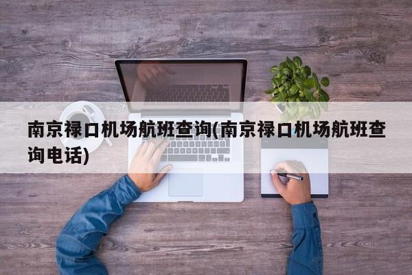 南京禄口机场航班查询(南京禄口机场航班查询电话)