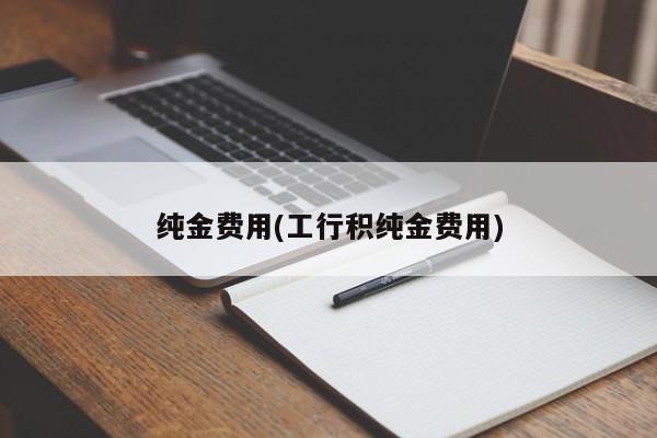 纯金费用(工行积纯金费用)