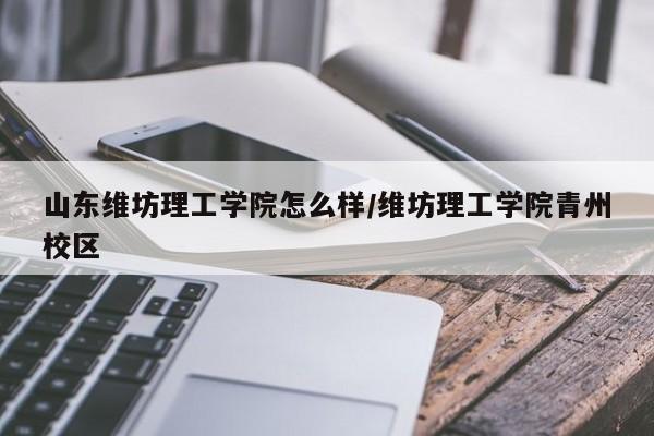 山东维坊理工学院怎么样/维坊理工学院青州校区